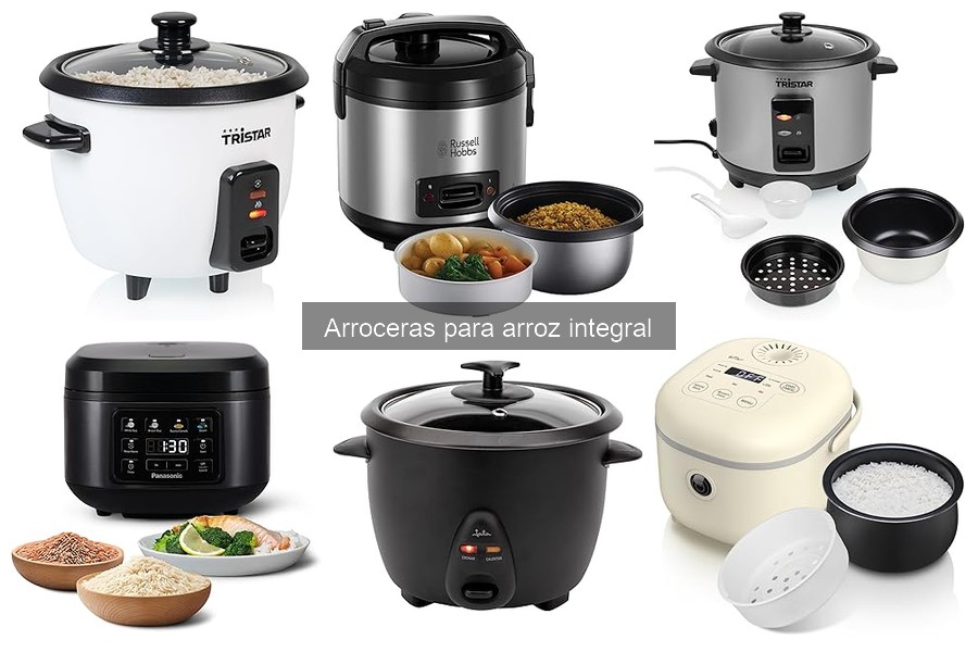 Alternativas a arroceras para arroz integral: Aprende más
