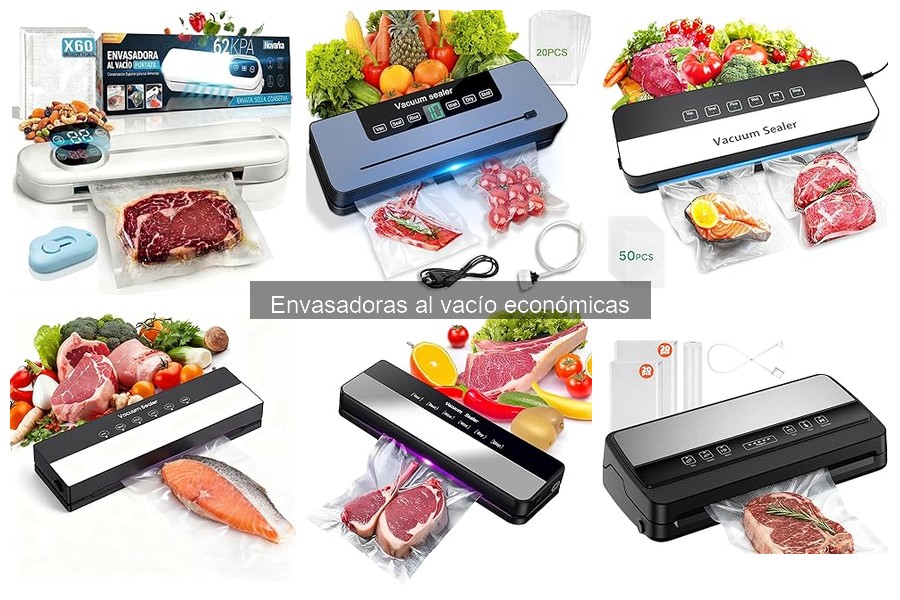 Alternativas a Envasadoras al Vacío Económicas: Guía Completa
