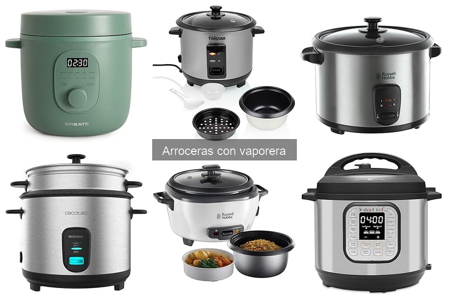 Alternativas a la arrocera con vaporera: opciones eficaces