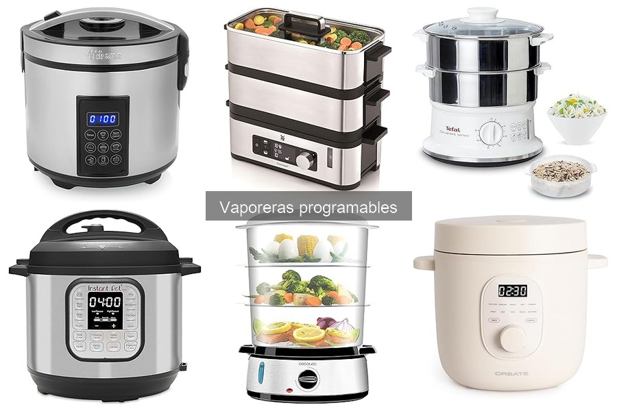Alternativas a Vaporeras Programables: Mejores Opciones