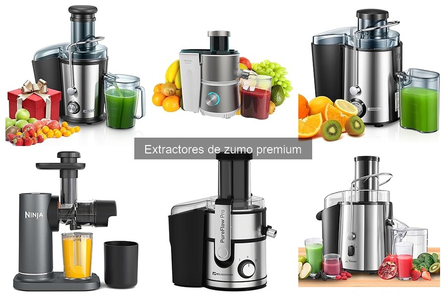 Cómo elegir el mejor extractor de zumo premium