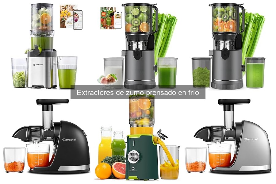 Cómo elegir el mejor extractor de zumo prensado en frío