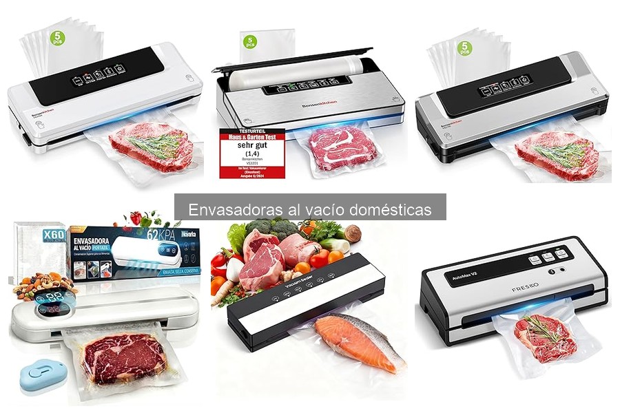 Cómo elegir la mejor envasadora al vacío doméstica