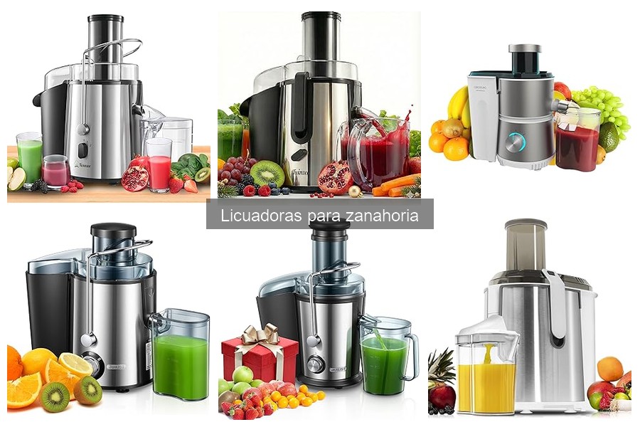 Comparativa de las mejores licuadoras para jugo de zanahoria