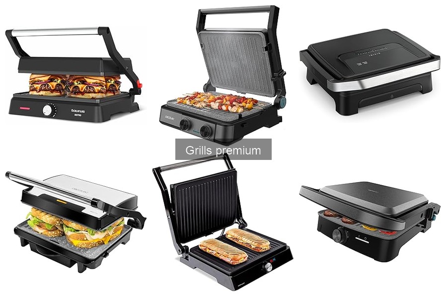 Comparativa: Grills Premium vs Estándar para 2023