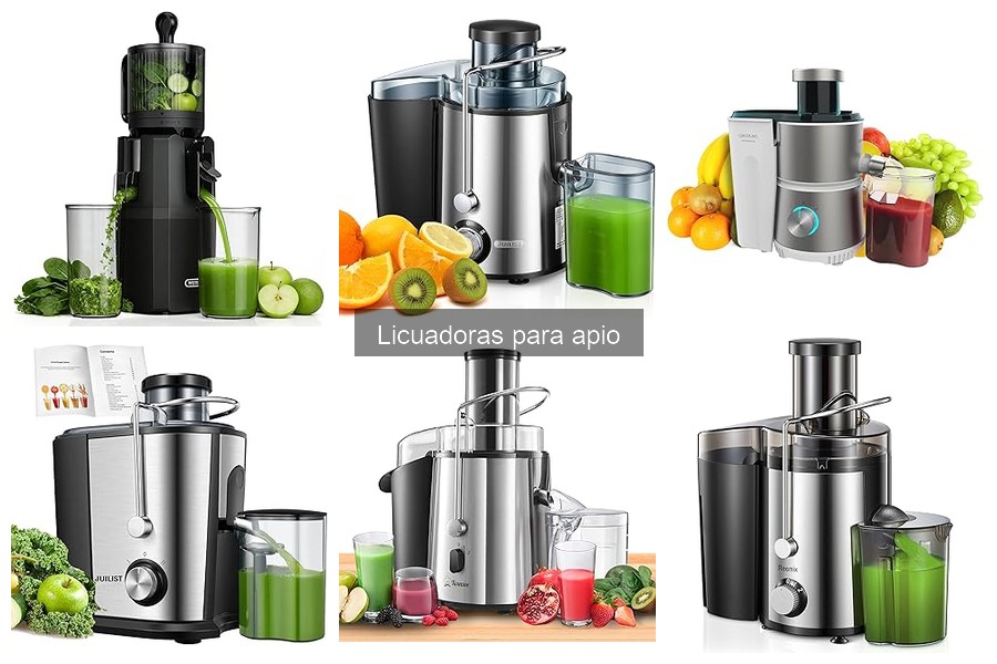 Comparativa: Licuadoras de Apio vs. Extractores de Jugo