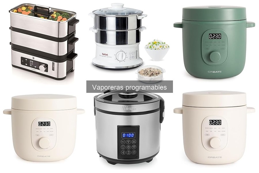 Comparativa Vaporeras Programables vs Tradicionales
