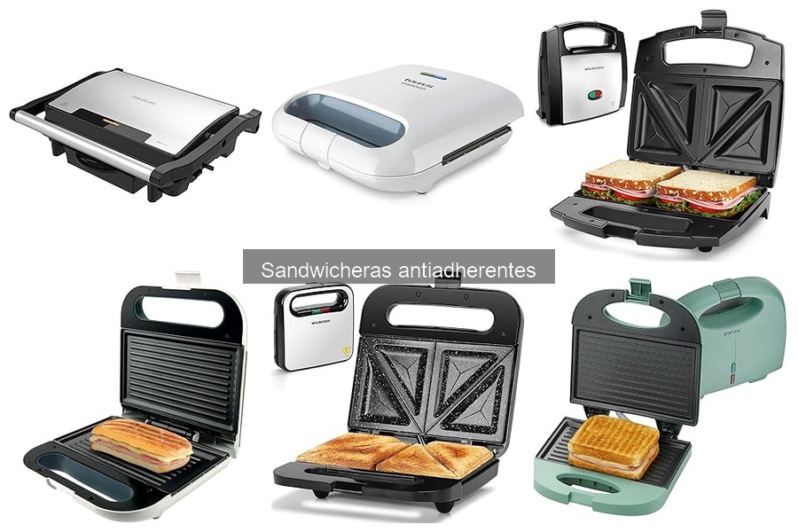 Deliciosas recetas fáciles en sandwichera antiadherente