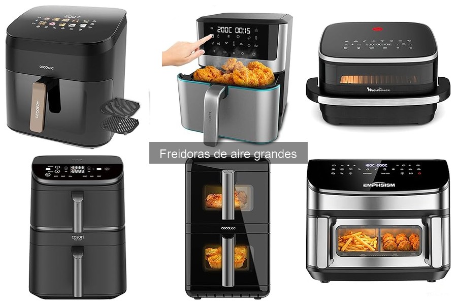 ¿Dónde comprar freidoras de aire grandes al mejor precio?