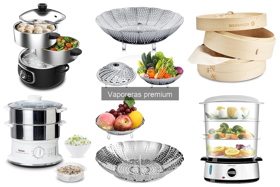 Dónde comprar vaporeras premium al mejor precio