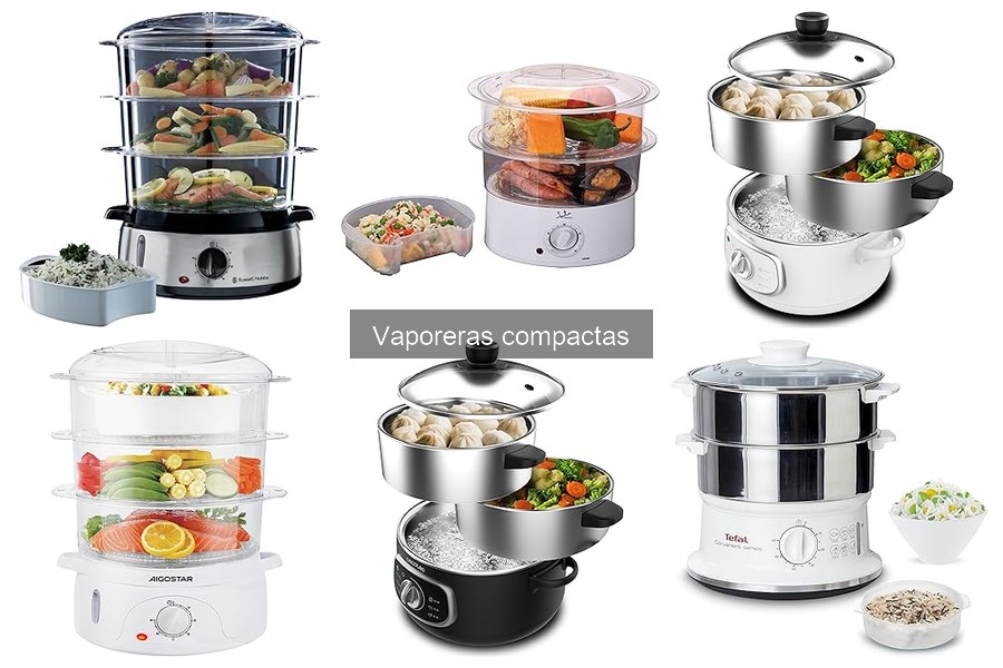 Guía de compra de vaporeras compactas: aspectos clave