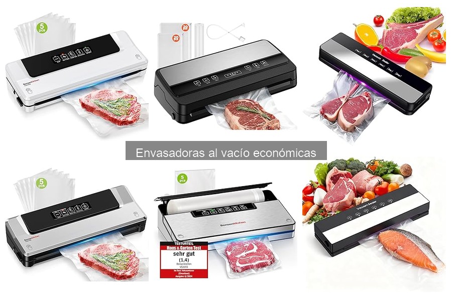 Mantenimiento de Envasadoras al Vacío Económicas: Guía Práctica