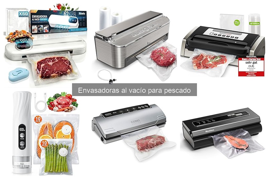 Mantenimiento de Envasadoras al Vacío para Pescado: Guía Práctica