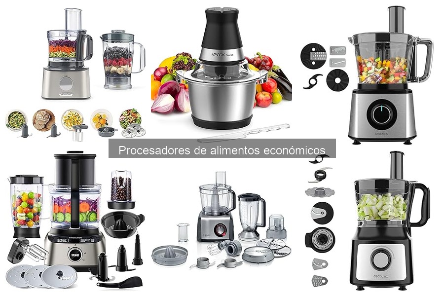 Mantenimiento y limpieza de procesadores de alimentos económicos