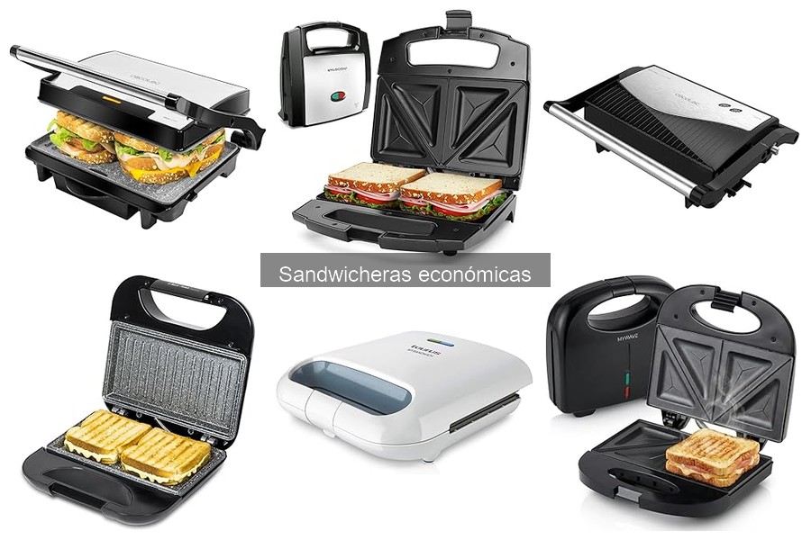 Mejores recetas rápidas en sandwichera económica