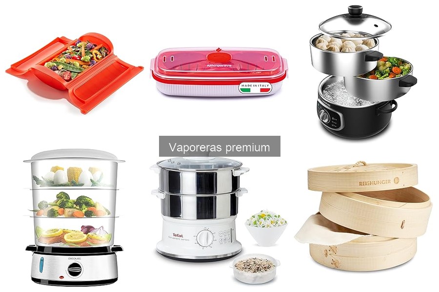 Mejores vaporeras premium para familias en 2023