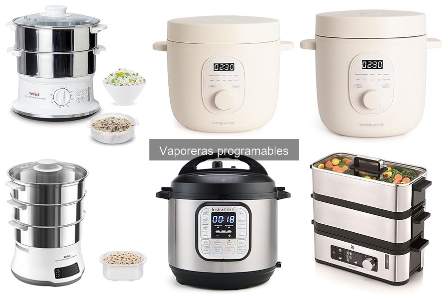 Mejores Vaporeras Programables del Mercado 2023