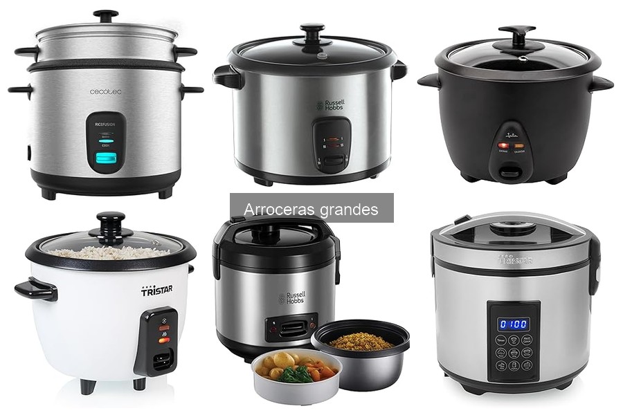 Ofertas y precios de arroceras grandes: ¡Aprovecha las mejores!