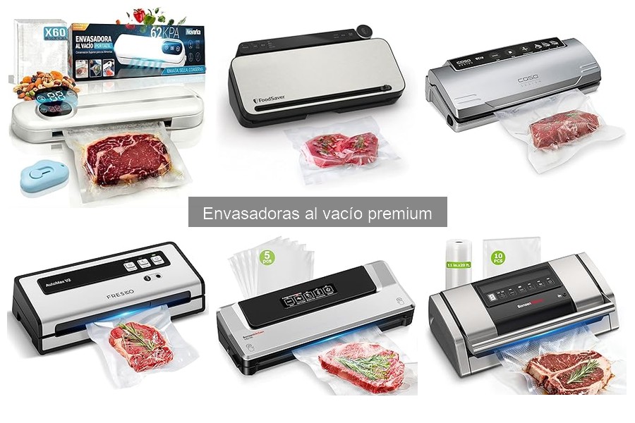 Precios de envasadoras al vacío premium y factores clave