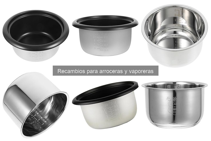 Problemas comunes con recambios de arroceras: Soluciones