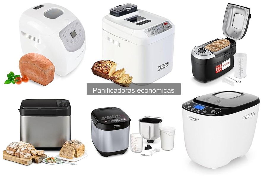 Problemas comunes en panificadoras económicas y soluciones