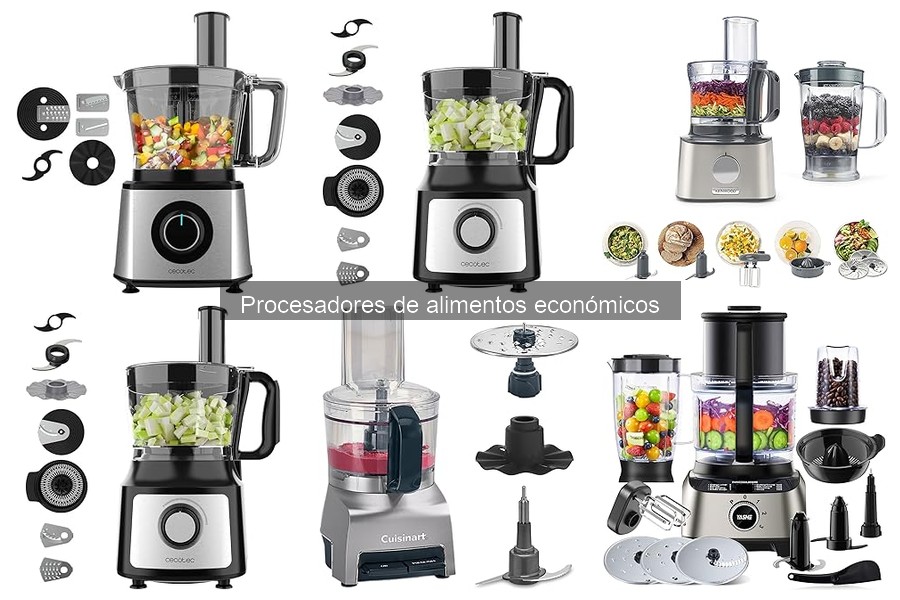 ¿Qué es un procesador de alimentos económico? Características y ventajas