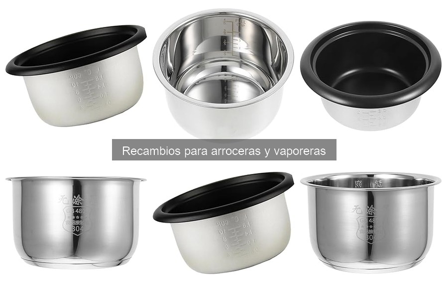 Recambios compatibles para arroceras: guía completa