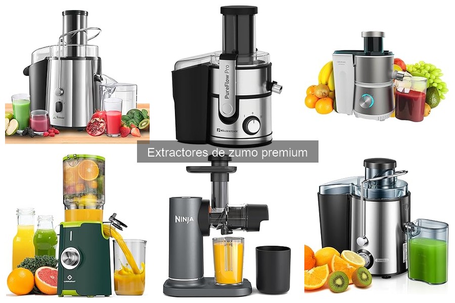 Recetas fáciles para extractores de zumo premium