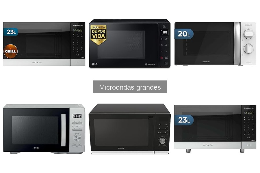Recetas Fáciles para Microondas Grandes: ¡Sorpréndete!