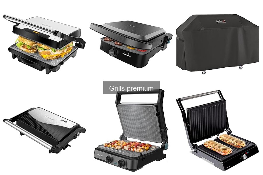 Reseñas de los Mejores Grills Premium: Bosch, Cecotec y Taurus