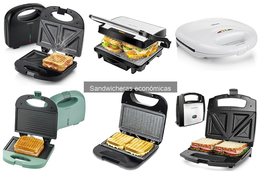 Sandwicheras Económicas: ¿Son Seguras para Usar?