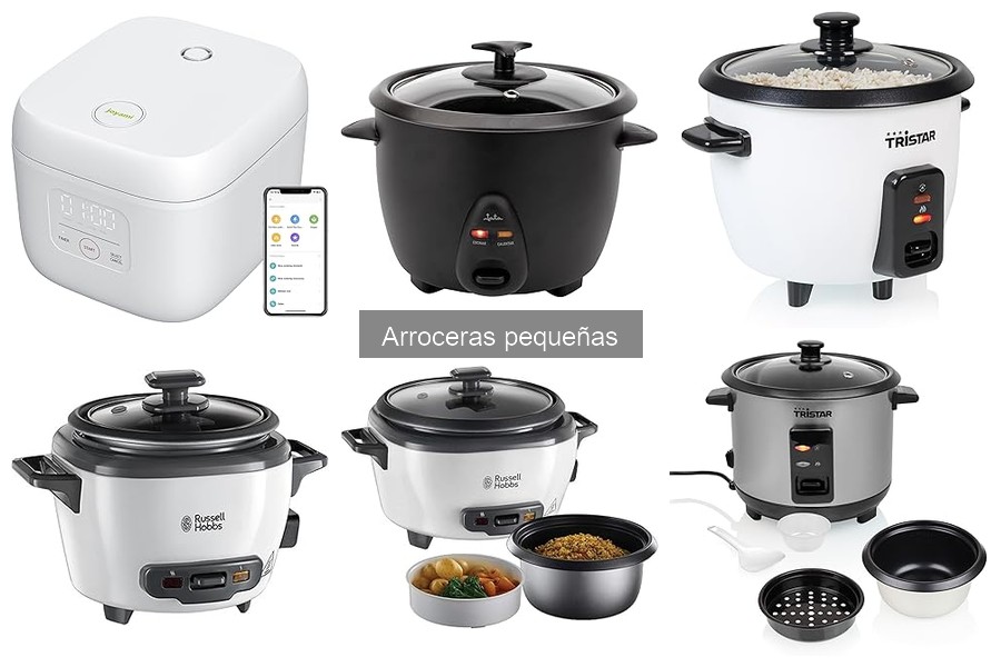 Tipos de Arroceras Pequeñas: Guía Completa para Elegir