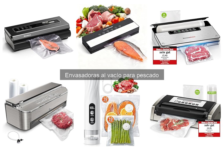 Tipos de envasadoras al vacío para pescado: Guía completa