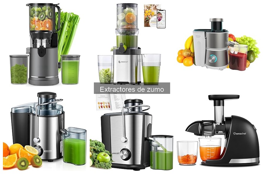Tipos de Extractores de Zumo: Ventajas y Diferencias