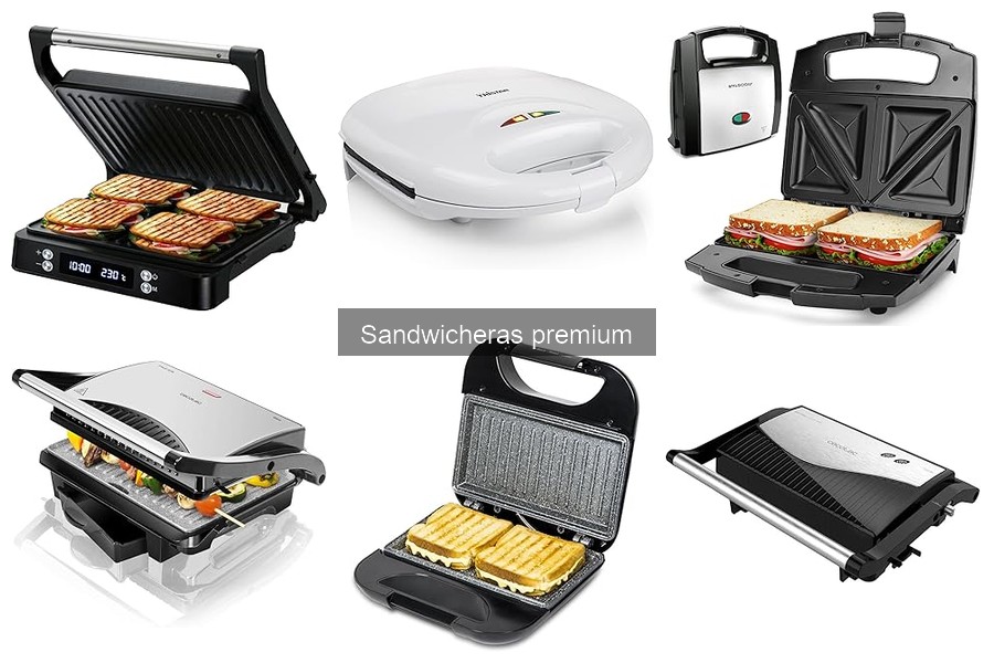 Tipos de sandwicheras premium: Elige la mejor para ti