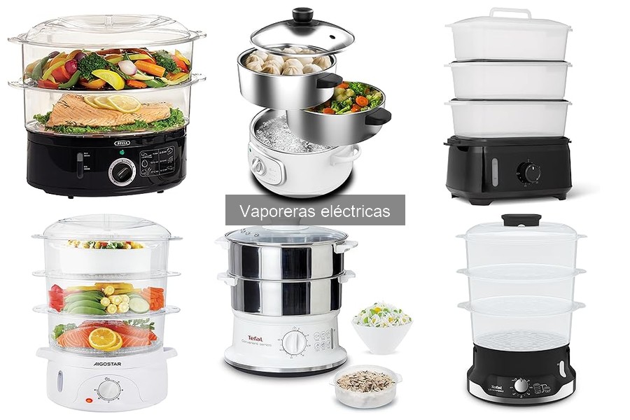 Tipos de Vaporeras Eléctricas: Guía Completa para Elegir