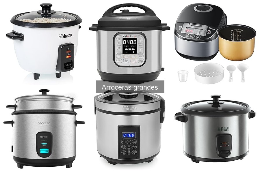 Ventajas y desventajas de las arroceras grandes