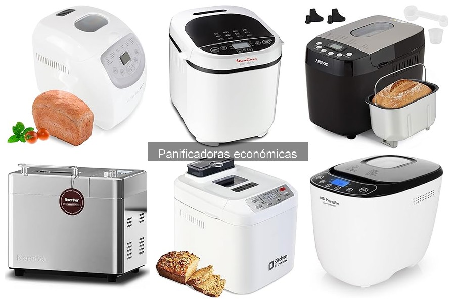 Ventajas y desventajas de las panificadoras económicas